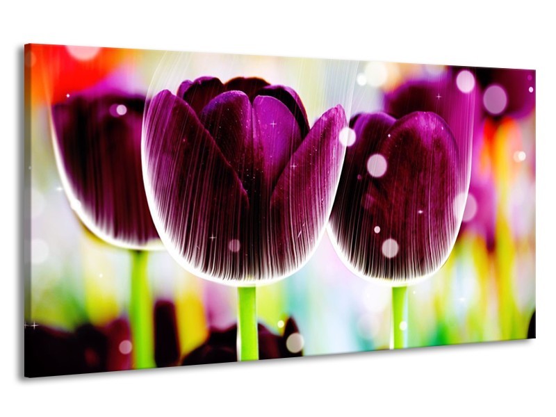 Canvas schilderij Tulp | Paars, Geel, | 190x100cm 1Luik