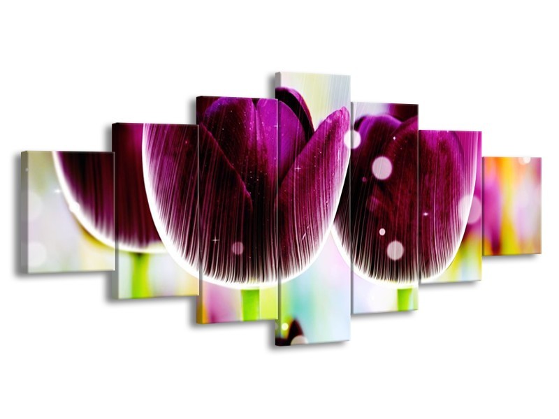 Canvas schilderij Tulp | Paars, Geel, | 210x100cm 7Luik