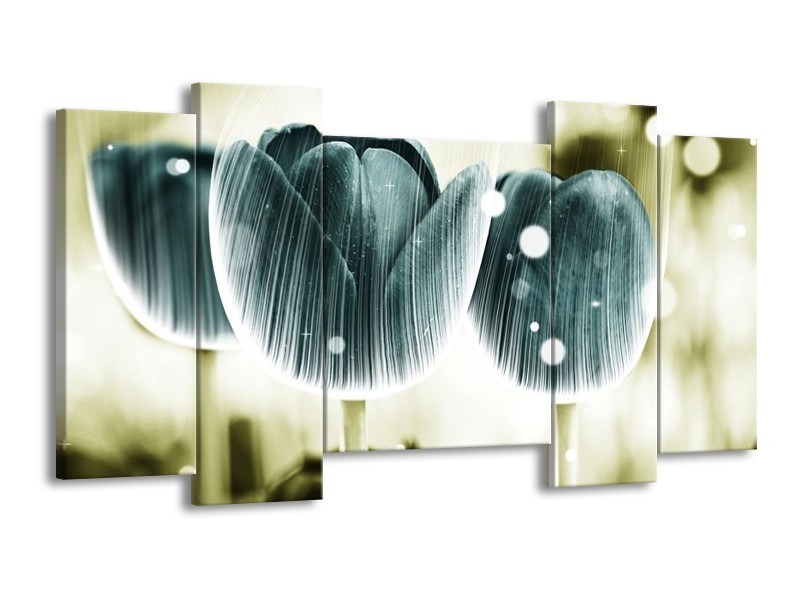 Canvas schilderij Tulp | Blauw, Wit | 120x65 5Luik
