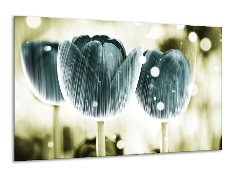 Canvas schilderij Tulp | Blauw, Wit | 120x70cm 1Luik