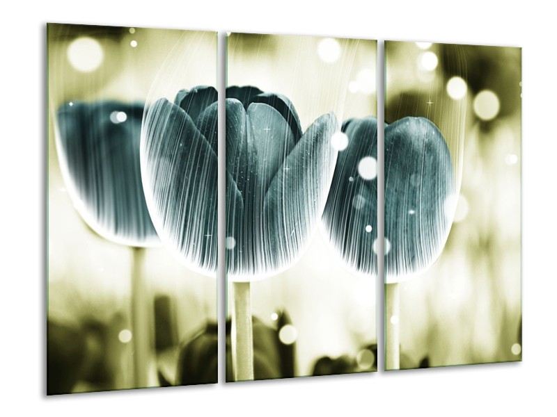 Canvas schilderij Tulp | Blauw, Wit | 120x80cm 3Luik