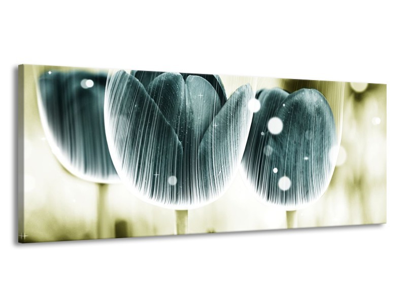 Canvas schilderij Tulp | Blauw, Wit | 145x58cm 1Luik