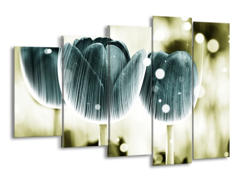 Canvas schilderij Tulp | Blauw, Wit | 150x100cm 5Luik