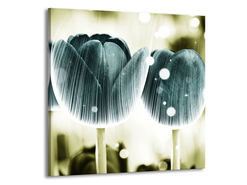 Canvas schilderij Tulp | Blauw, Wit | 50x50cm 1Luik
