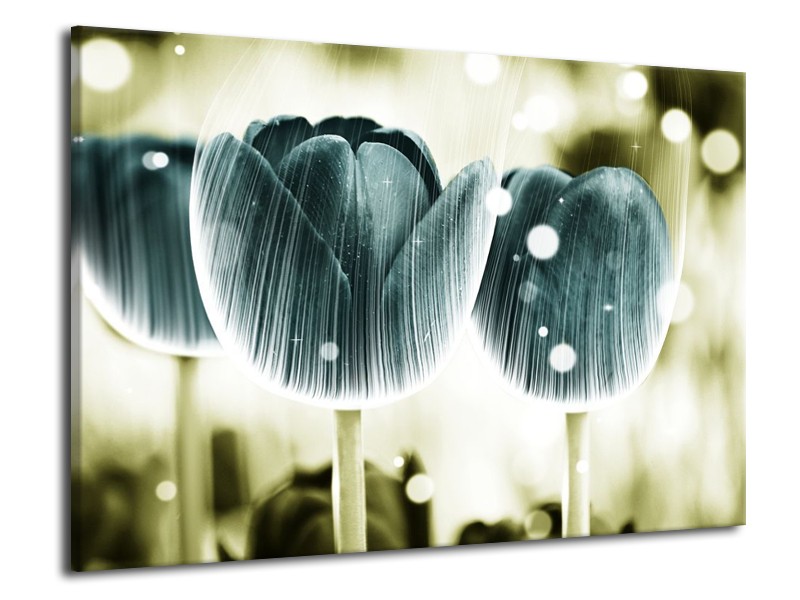 Canvas schilderij Tulp | Blauw, Wit | 70x50cm 1Luik