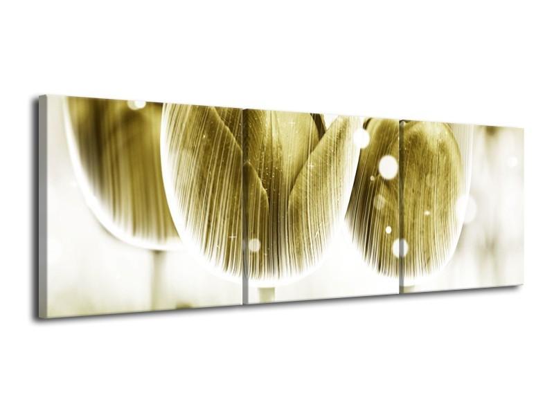 Canvas schilderij Tulp | Geel, Wit | 120x40cm 3Luik