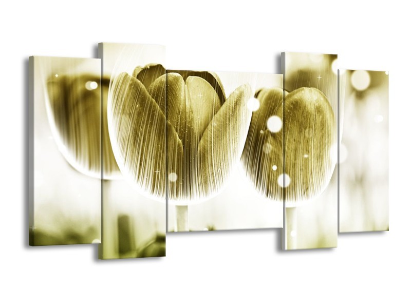 Canvas schilderij Tulp | Geel, Wit | 120x65 5Luik