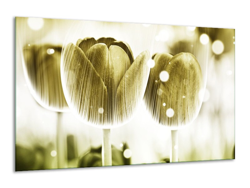 Canvas schilderij Tulp | Geel, Wit | 120x70cm 1Luik