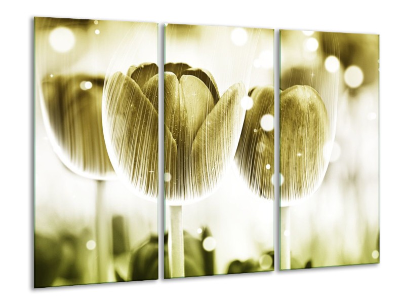 Canvas schilderij Tulp | Geel, Wit | 120x80cm 3Luik