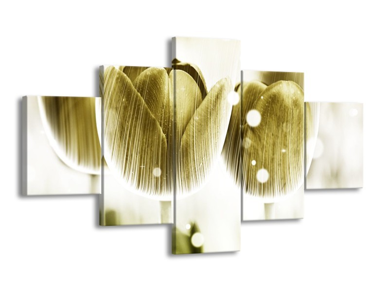 Canvas schilderij Tulp | Geel, Wit | 125x70cm 5Luik