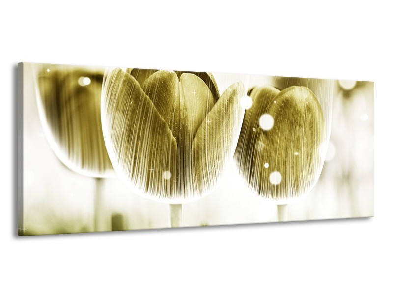 Canvas schilderij Tulp | Geel, Wit | 145x58cm 1Luik