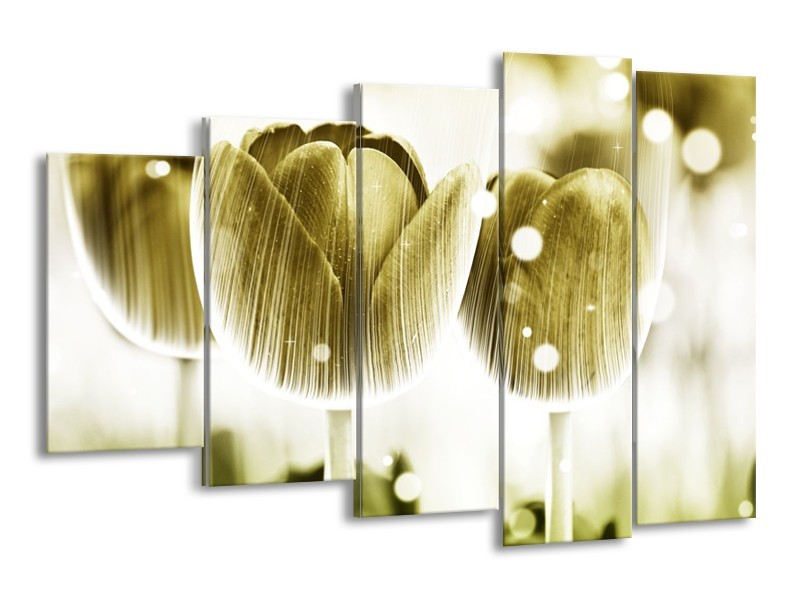 Canvas schilderij Tulp | Geel, Wit | 150x100cm 5Luik
