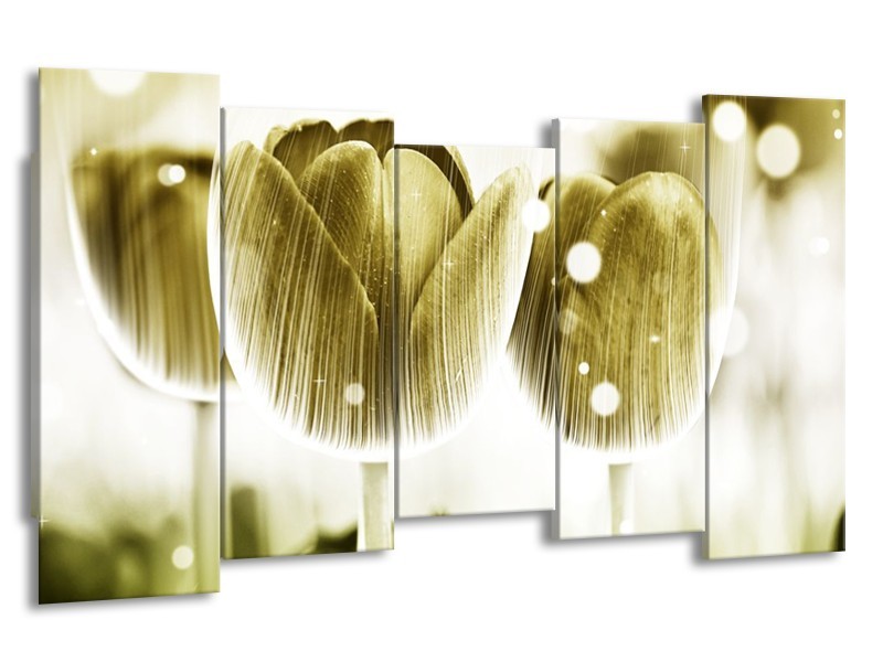 Canvas schilderij Tulp | Geel, Wit | 150x80cm 5Luik