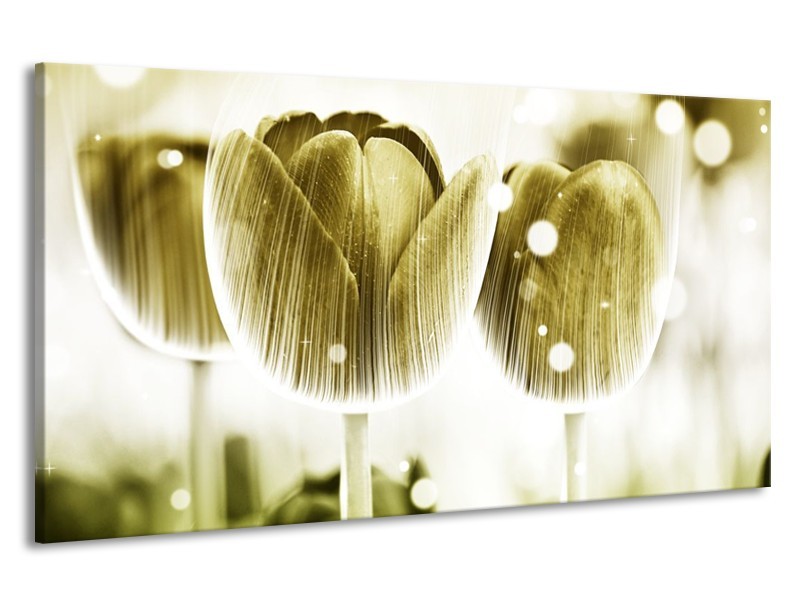 Canvas schilderij Tulp | Geel, Wit | 190x100cm 1Luik