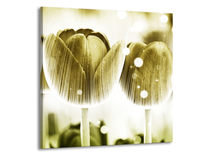 Canvas schilderij Tulp | Geel, Wit | 50x50cm 1Luik