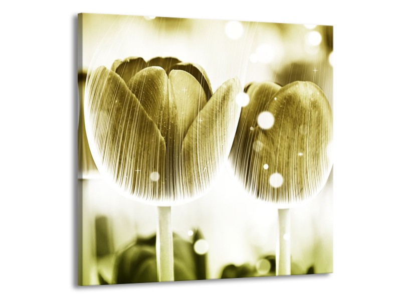 Canvas schilderij Tulp | Geel, Wit | 70x70cm 1Luik