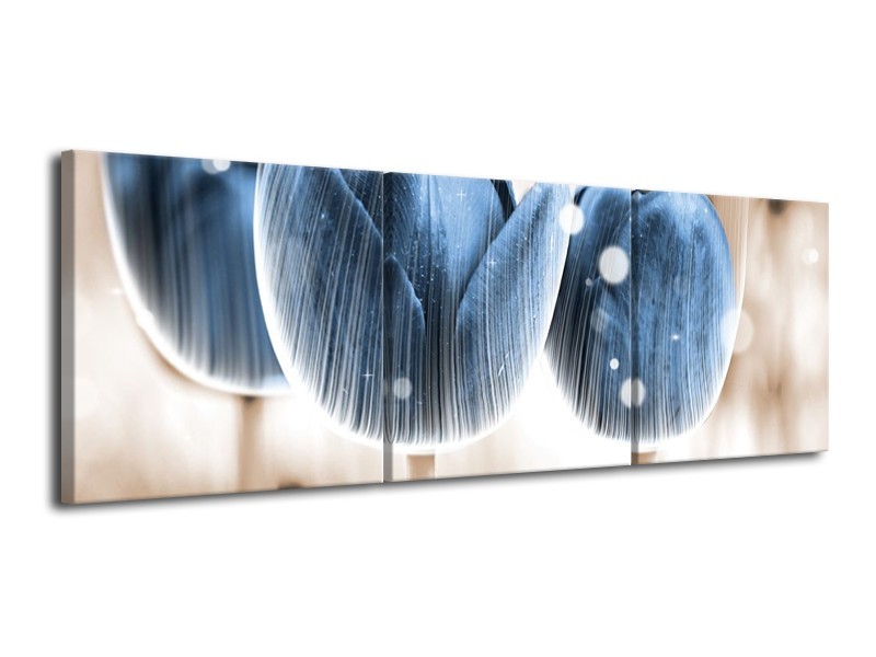 Canvas schilderij Tulp | Blauw, Wit | 120x40cm 3Luik