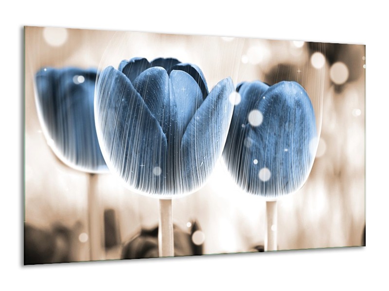 Canvas schilderij Tulp | Blauw, Wit | 120x70cm 1Luik