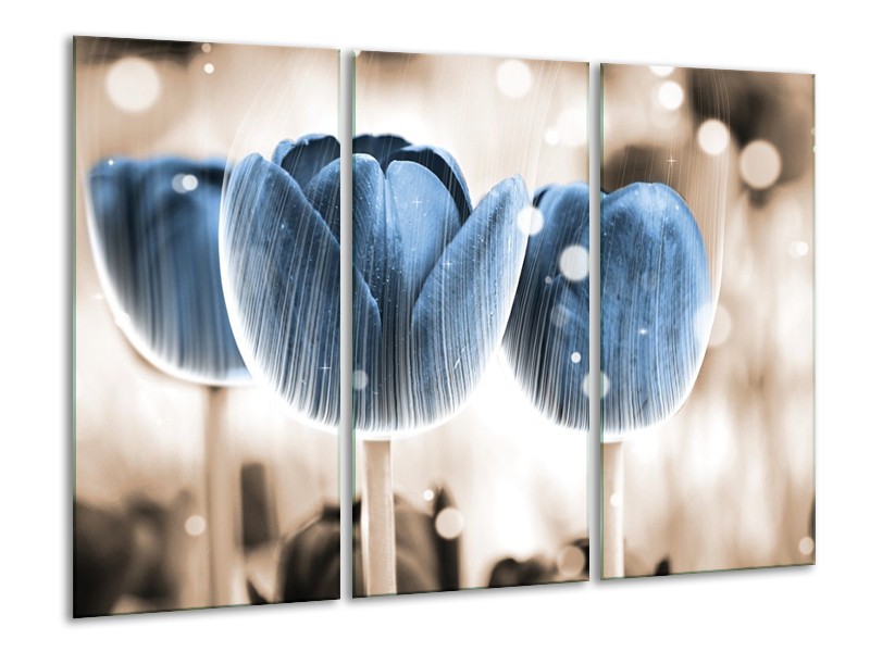 Canvas schilderij Tulp | Blauw, Wit | 120x80cm 3Luik
