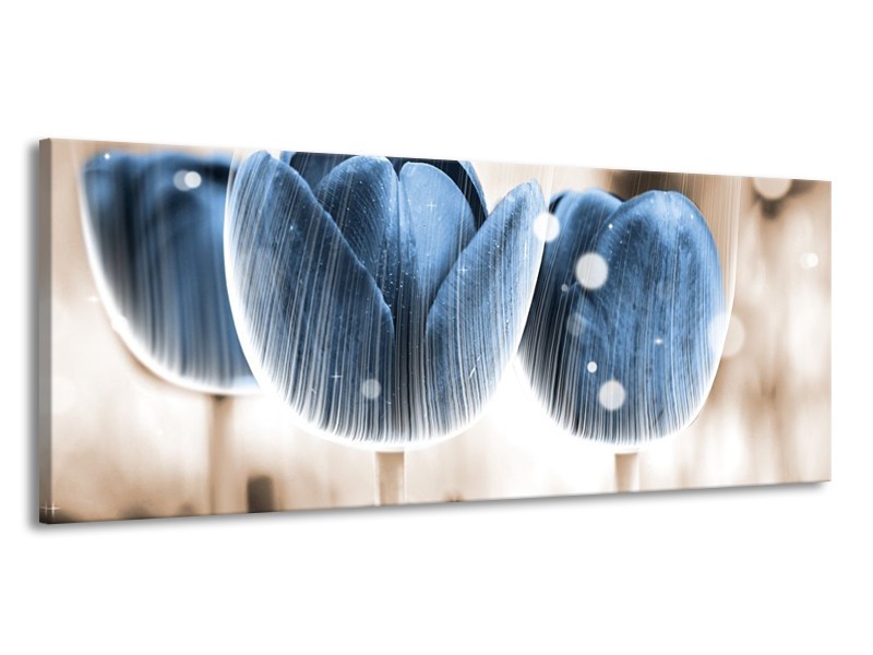 Canvas schilderij Tulp | Blauw, Wit | 145x58cm 1Luik