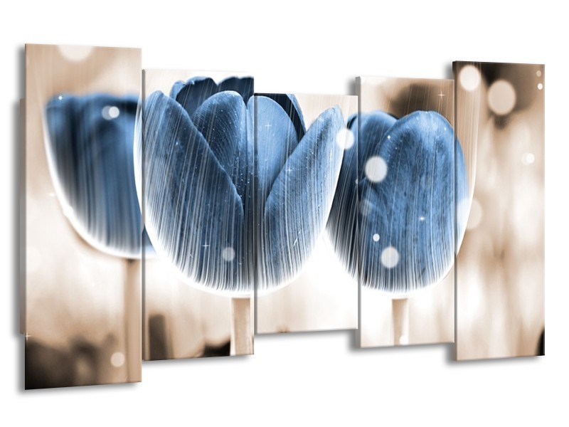 Canvas schilderij Tulp | Blauw, Wit | 150x80cm 5Luik