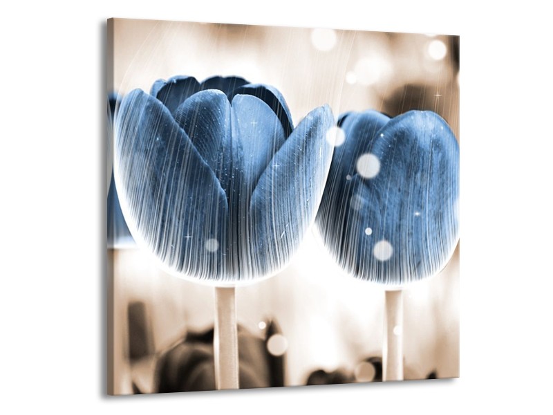 Canvas schilderij Tulp | Blauw, Wit | 50x50cm 1Luik
