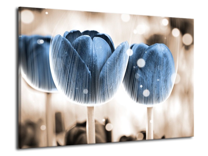 Canvas schilderij Tulp | Blauw, Wit | 70x50cm 1Luik