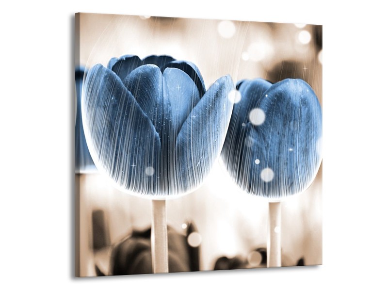 Canvas schilderij Tulp | Blauw, Wit | 70x70cm 1Luik