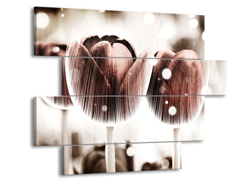 Canvas schilderij Tulp | Bruin, Wit | 115x85cm 4Luik