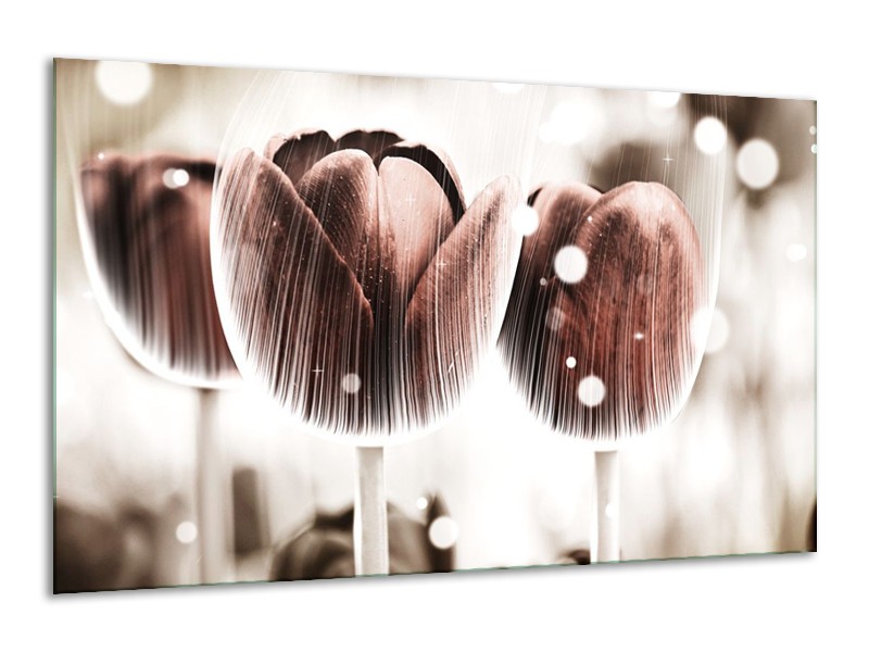 Canvas schilderij Tulp | Bruin, Wit | 120x70cm 1Luik