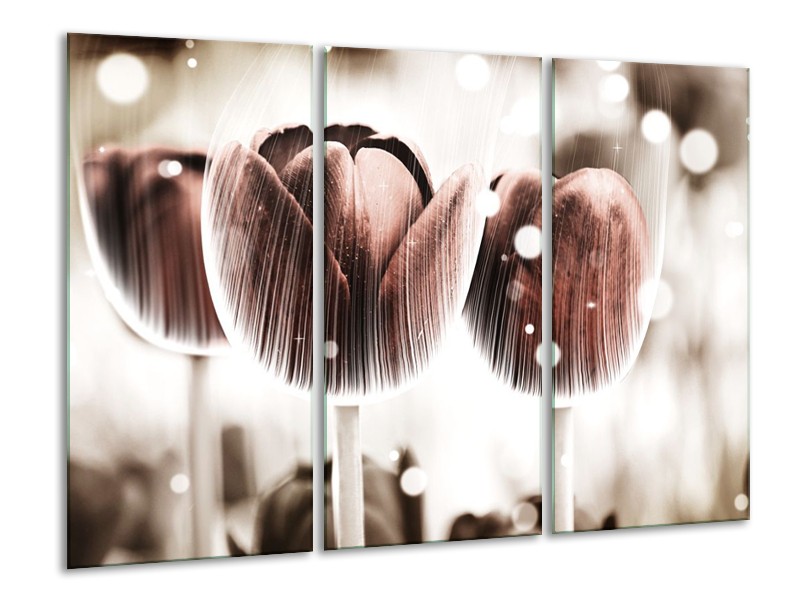 Canvas schilderij Tulp | Bruin, Wit | 120x80cm 3Luik
