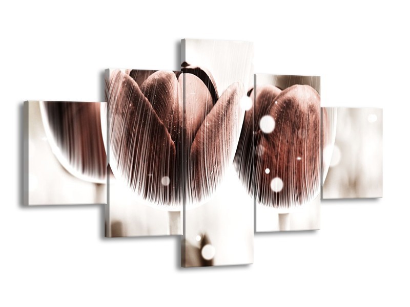 Canvas schilderij Tulp | Bruin, Wit | 125x70cm 5Luik