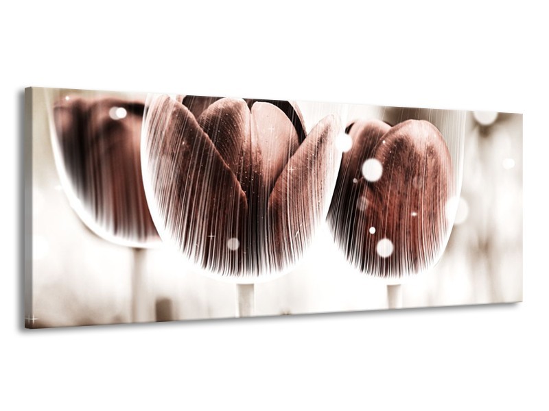 Canvas schilderij Tulp | Bruin, Wit | 145x58cm 1Luik