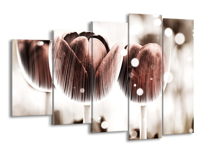 Canvas schilderij Tulp | Bruin, Wit | 150x100cm 5Luik