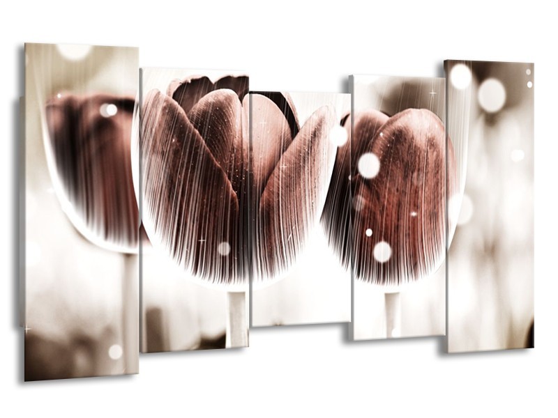 Canvas schilderij Tulp | Bruin, Wit | 150x80cm 5Luik