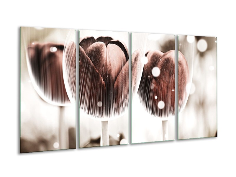 Canvas schilderij Tulp | Bruin, Wit | 160x80cm 4Luik