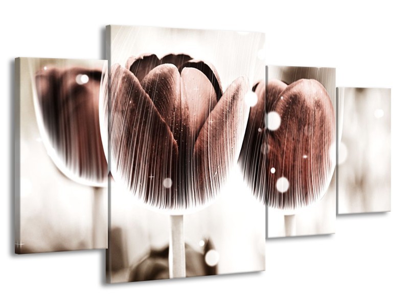 Canvas schilderij Tulp | Bruin, Wit | 160x90cm 4Luik