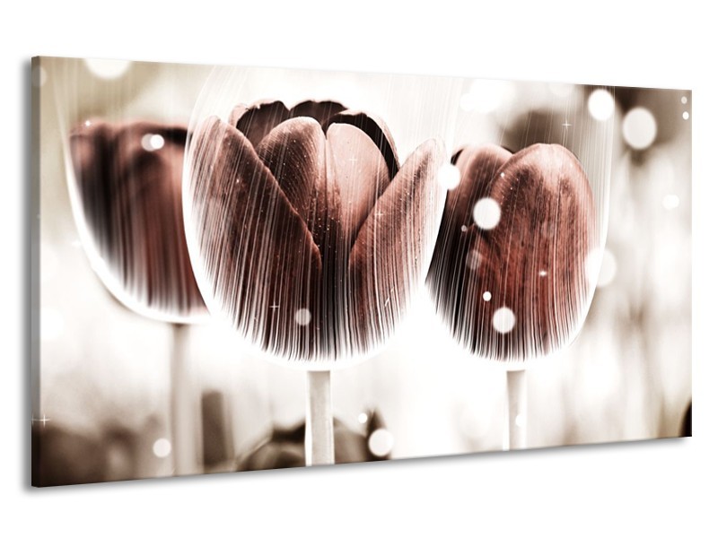 Canvas schilderij Tulp | Bruin, Wit | 190x100cm 1Luik