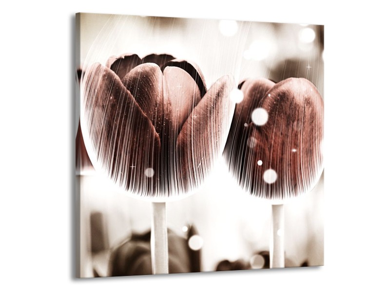 Canvas schilderij Tulp | Bruin, Wit | 50x50cm 1Luik