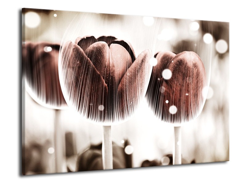 Canvas schilderij Tulp | Bruin, Wit | 70x50cm 1Luik