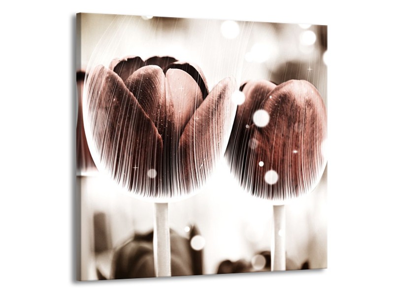 Canvas schilderij Tulp | Bruin, Wit | 70x70cm 1Luik