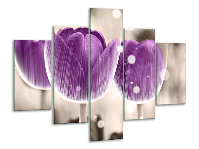 Canvas schilderij Tulp | Paars, Wit | 100x70cm 5Luik