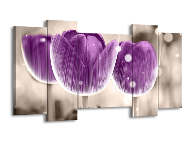 Canvas schilderij Tulp | Paars, Wit | 120x65 5Luik