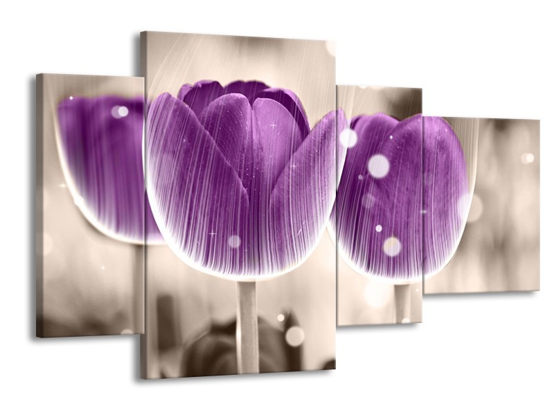 Canvas schilderij Tulp | Paars, Wit | 120x75cm 4Luik