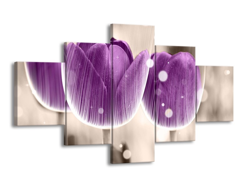 Canvas schilderij Tulp | Paars, Wit | 125x70cm 5Luik
