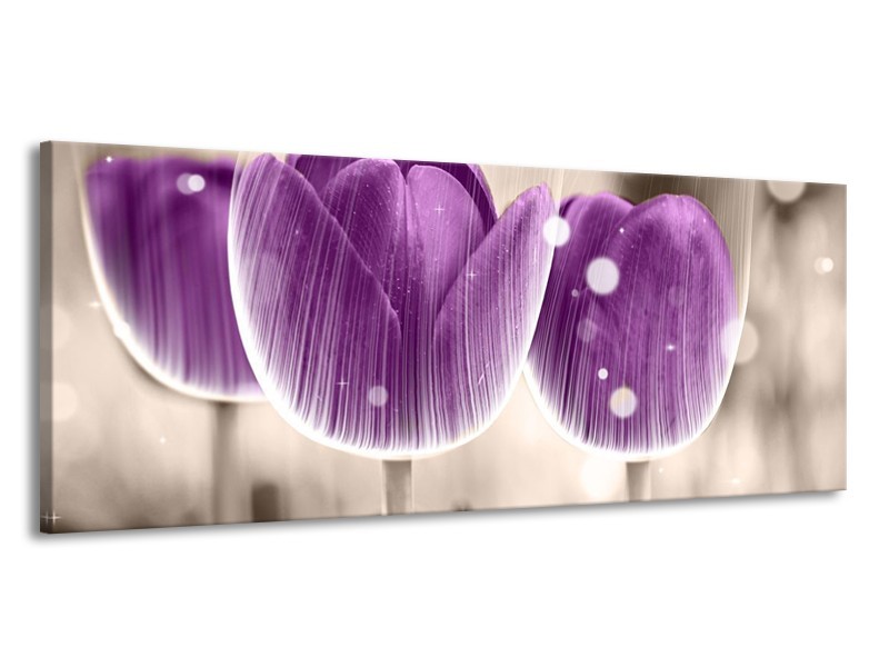 Canvas schilderij Tulp | Paars, Wit | 145x58cm 1Luik
