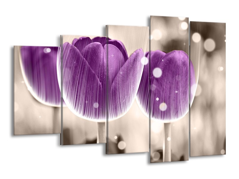 Canvas schilderij Tulp | Paars, Wit | 150x100cm 5Luik