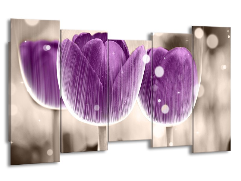 Canvas schilderij Tulp | Paars, Wit | 150x80cm 5Luik