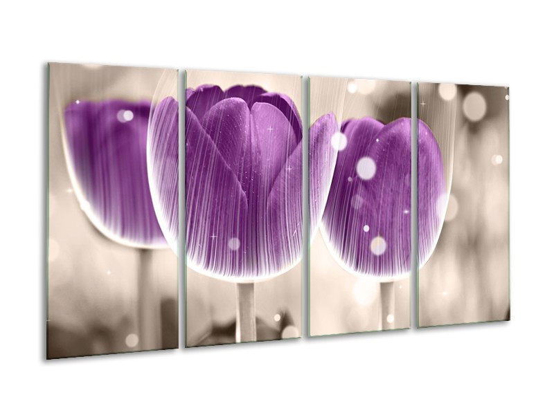 Canvas schilderij Tulp | Paars, Wit | 160x80cm 4Luik