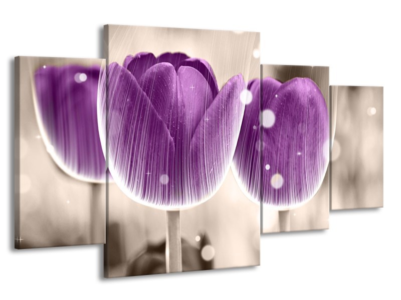 Canvas schilderij Tulp | Paars, Wit | 160x90cm 4Luik